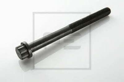 PE AUTOMOTIVE 01008400a -  Болт головки цилиндра